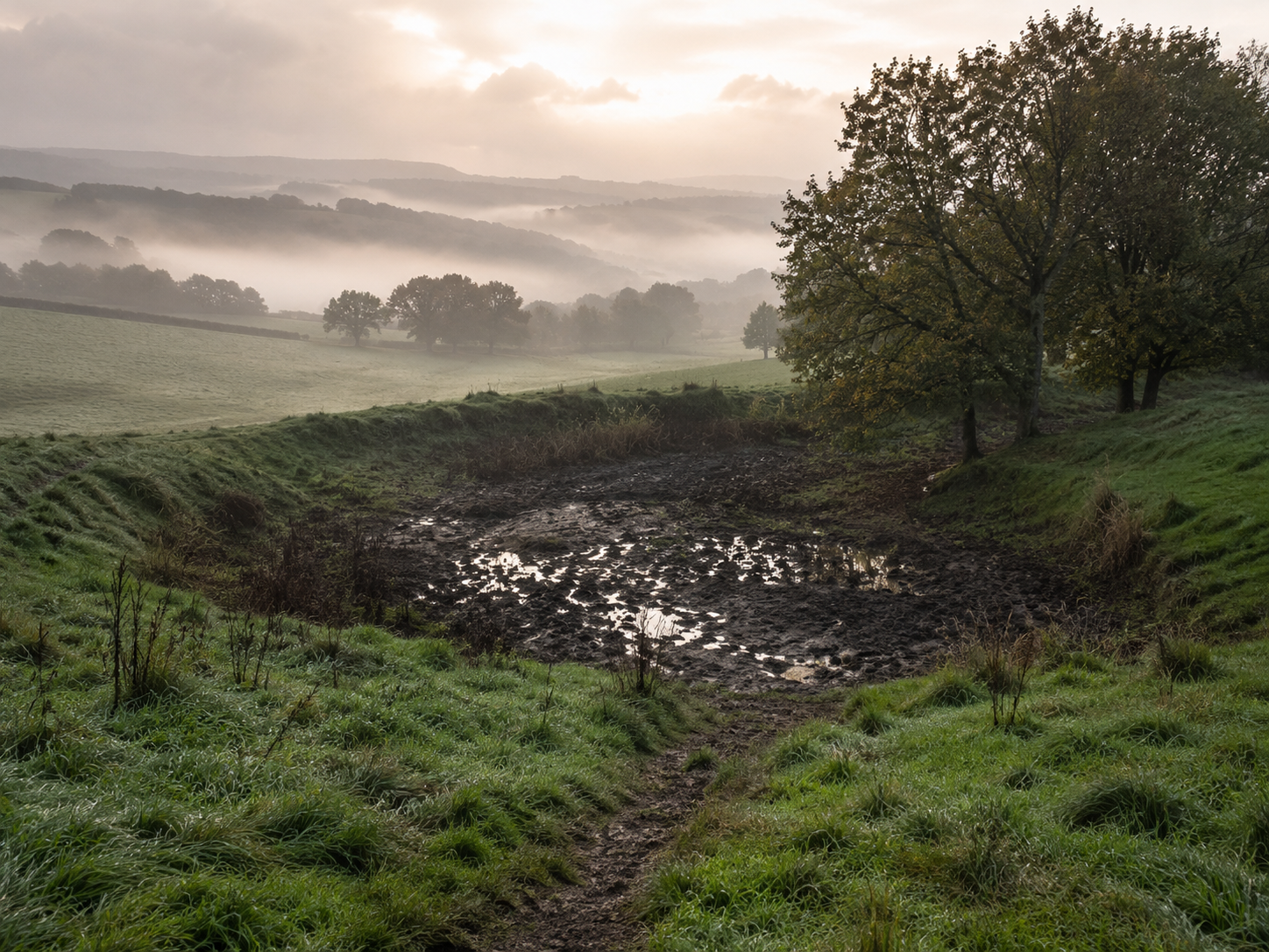 Vom Wasser, der Erde und dem Morast